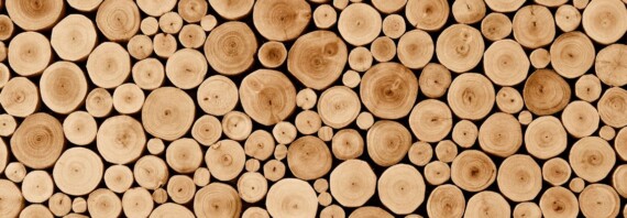 Fustes nobles i sostenibles · Maderas nobles y sostenibles